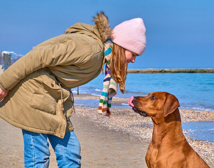 Why Does My Dog Not Listen to Me? Reasons & How to Solve It