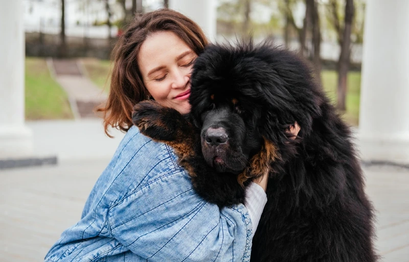When Is Responsible Dog Ownership Month? 2026 Update & How to Celebrate It
