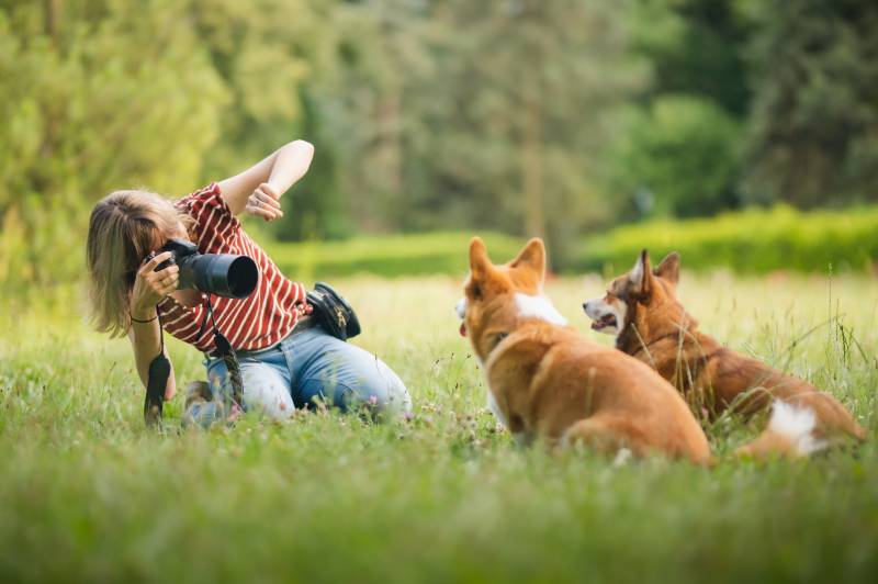 How Much Does a Pet Photographer Make in 2026? Tips to Get Started & FAQ