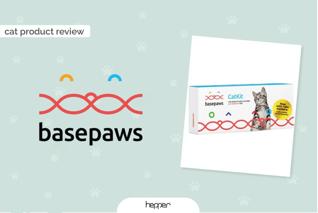 Basepaws Cat Breed + Health DNA Test Review 2026: Our Expert’s Opinion