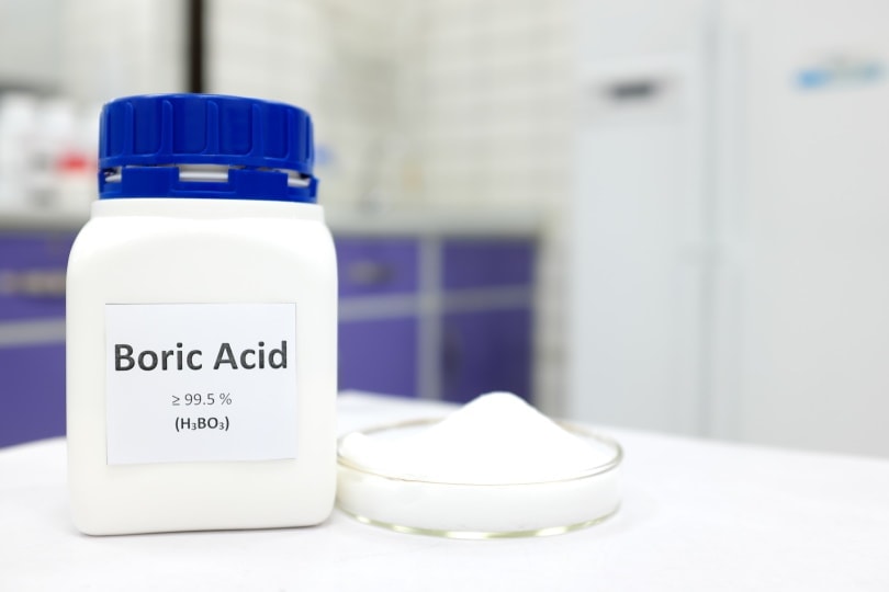 Does Boric Acid Kill Fleas? Safety & Effectiveness Explained