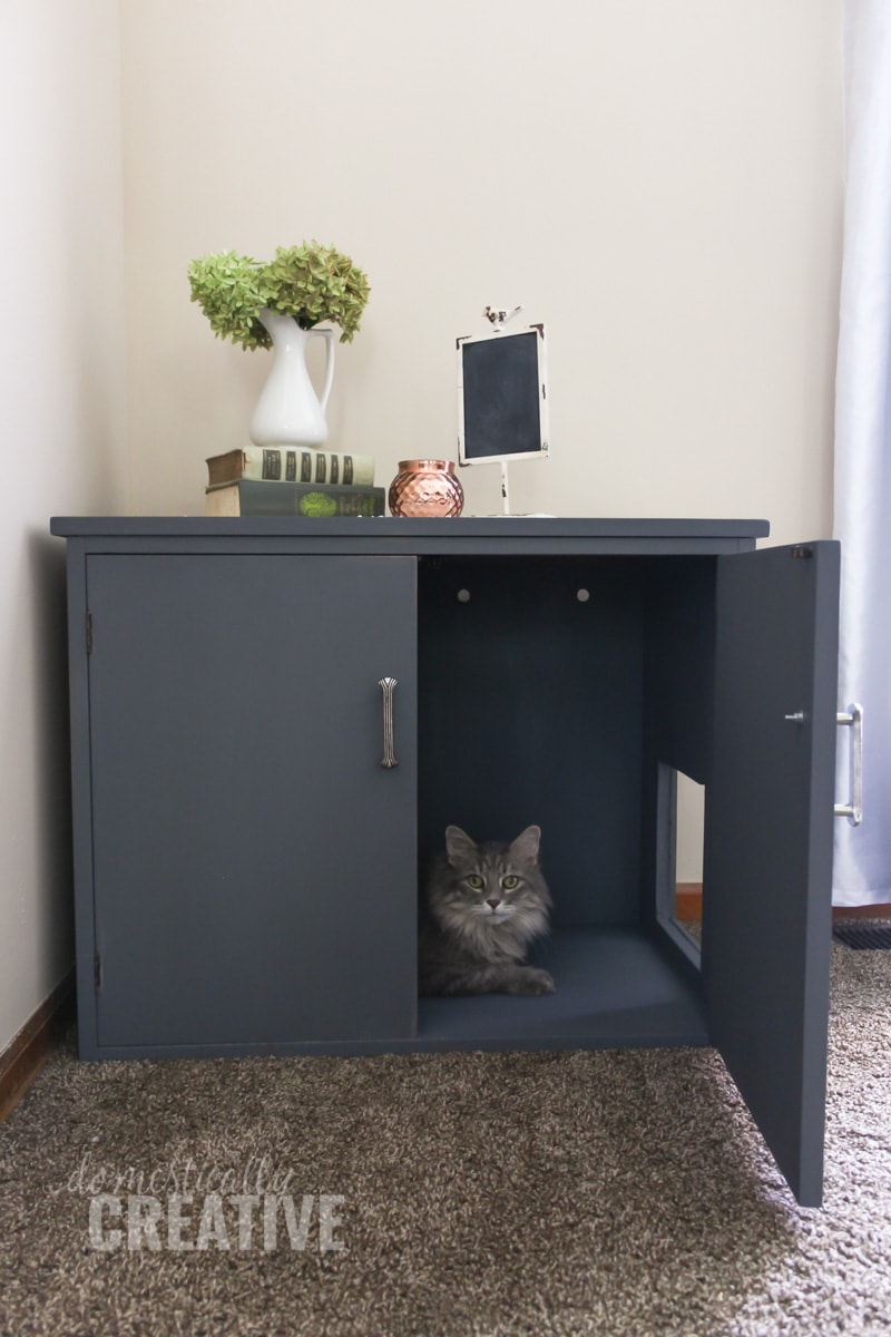 DIY Litter Box Cabinet