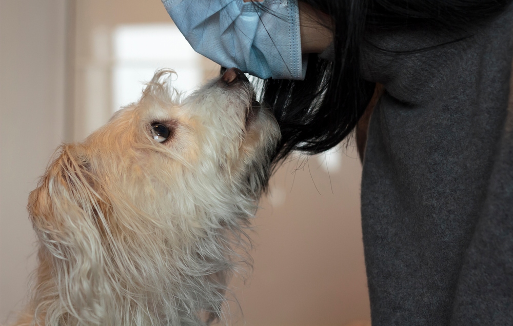 Can Dogs Smell Sickness in Humans? What Science Says