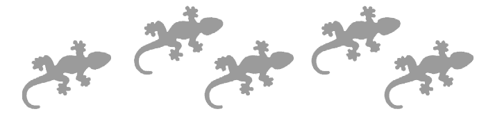 Gecko divider hepper
