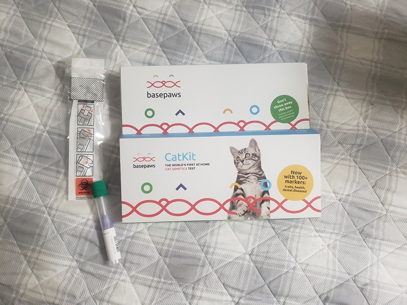 basepaws breed + health cat dna test kit