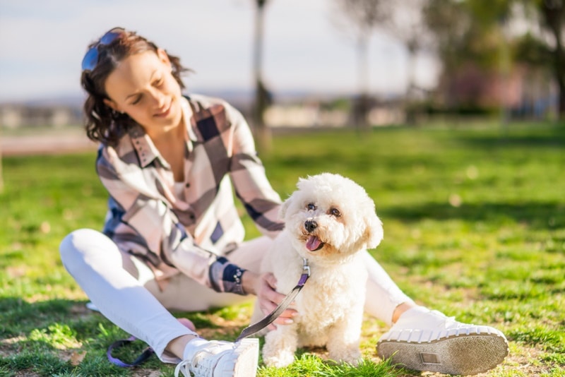Can You Change Your Dog’s Name? Renaming Tips & Vet-Verified Facts