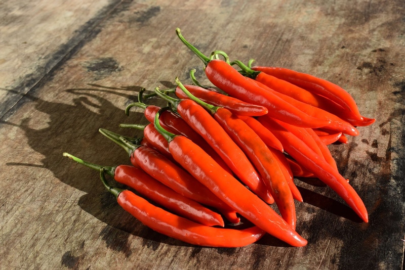 Can Dogs Eat Cayenne Peppers? Vet-Reviewed Facts & FAQ