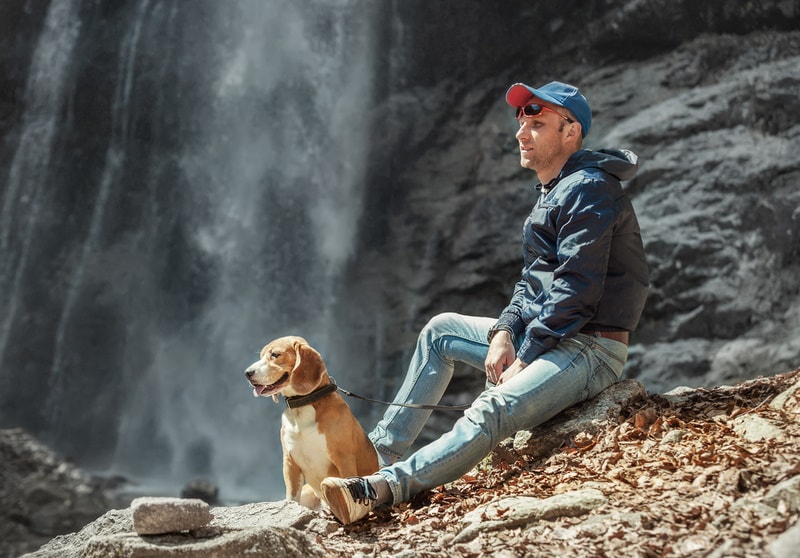 12 Dog-Friendly Hiking Trails in Southern California to Visit in 2026 (With Pictures)