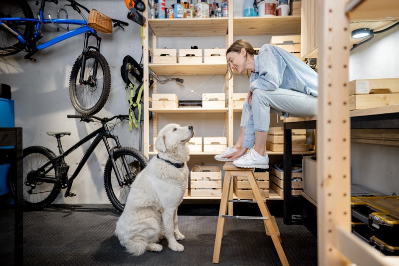 Can I Leave My Dog in the Garage While at Work? Tips to Keep Your Dog Safe
