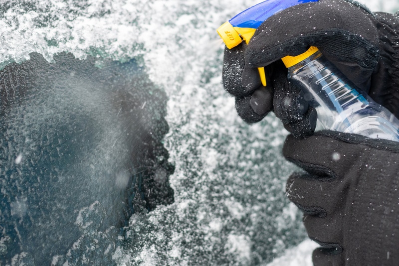 Is Ice Melt Safe for Dog Paws? Vet Reviewed Facts & Tips