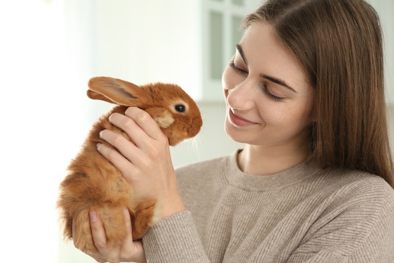 How to Get Rid of Rabbit Pee Smell: Expert Tips & Tricks