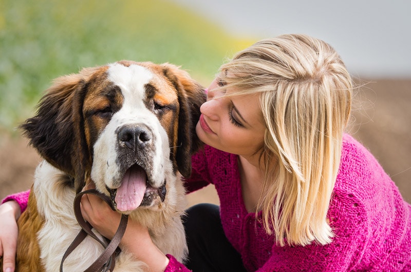 Why Does My Dog Pant So Much? 7 Vet-Reviewed Reasons
