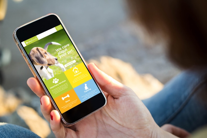 Top 10 Apps to Stop a Dog from Barking in 2026 - Reviews and Top Picks