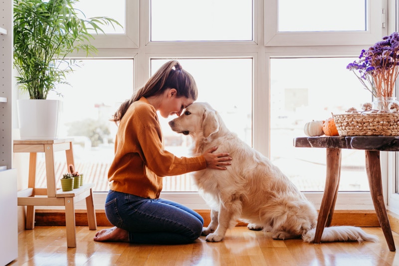 Why Does My Dog Smell Like Maple Syrup? 4 Vet-Approved Reasons
