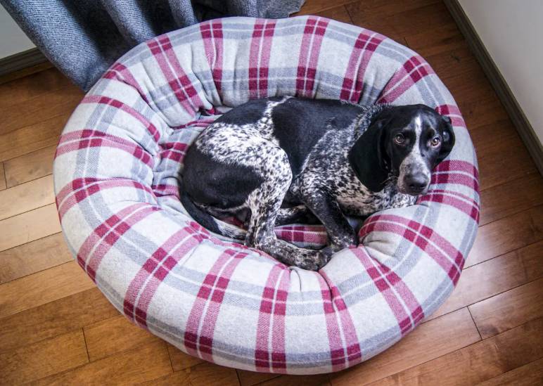 DIY Pet Calming Bed