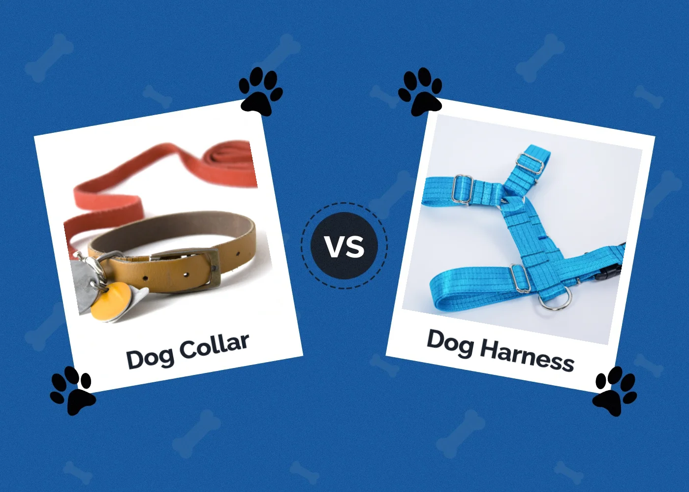Dog Collar vs. Harness: Which Is Better for Your Dog? Visual Differences & Overview