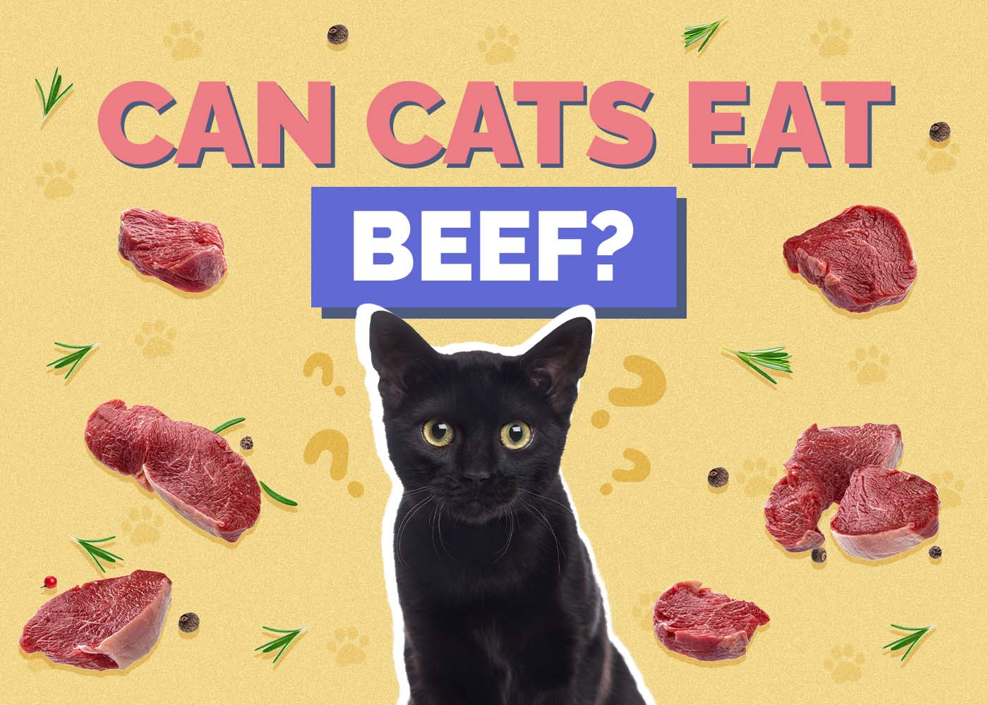 Can A Cat Eat Raw Beef? Vet-Reviewed Benefits, Risks & FAQ