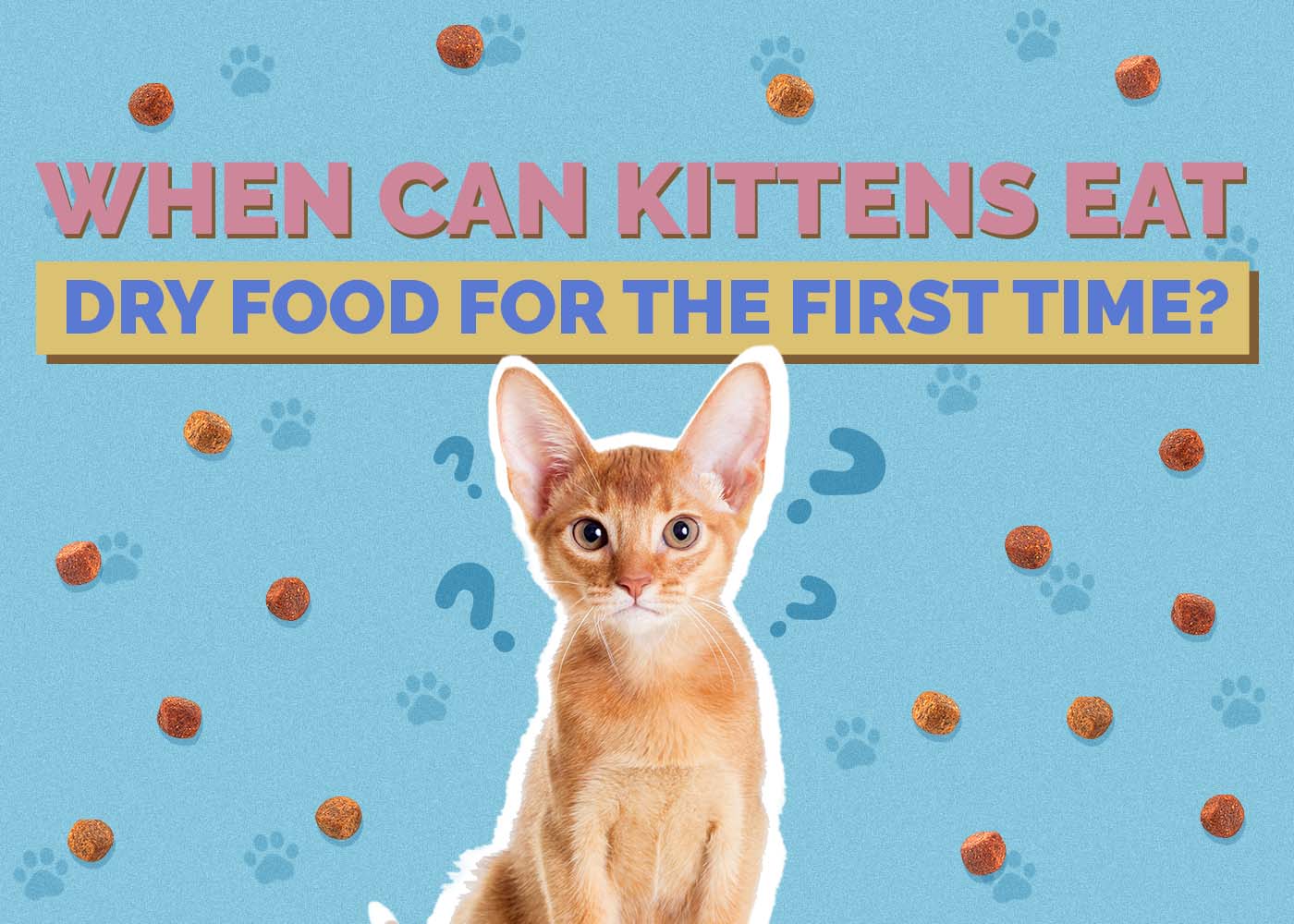 When Can Kittens Eat Dry Food for the First Time? Vet-Verified Facts & FAQs
