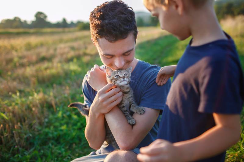 How to Pick Up a Kitten: 6 Vet-Approved Tips