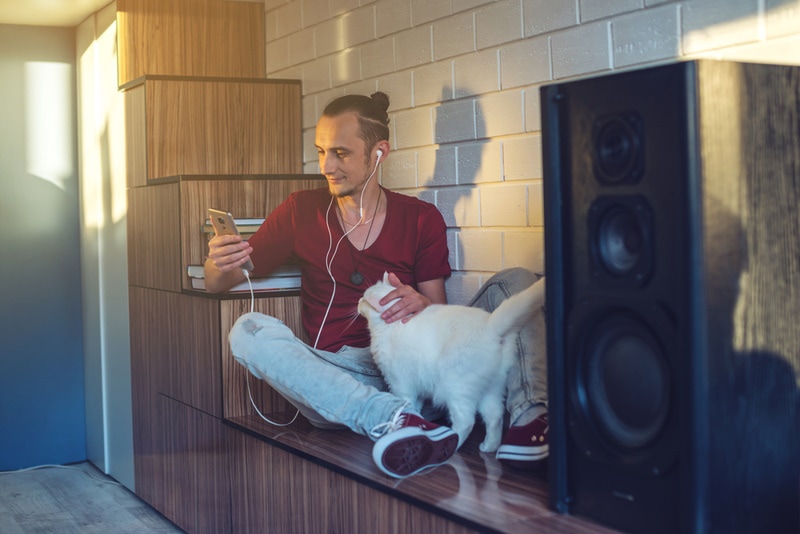 When Is Respect Your Cat Day 2026? Facts & How to Celebrate It