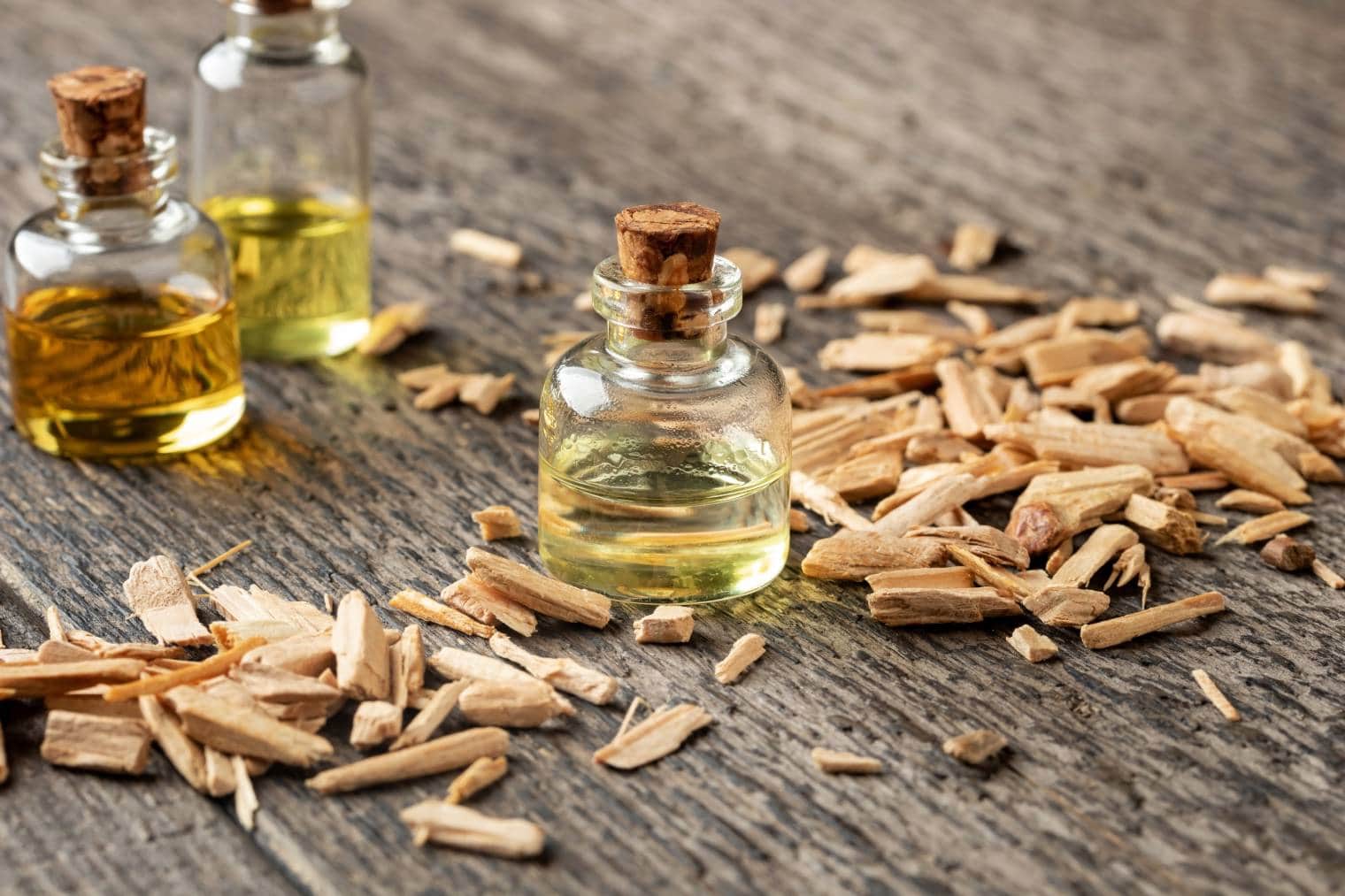 Does Cedarwood Oil Kill Fleas? Vet-Reviewed Safety & Effectiveness