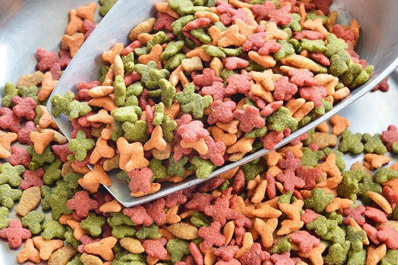 How to Save Money on Cat Food: 12 Expert Tips