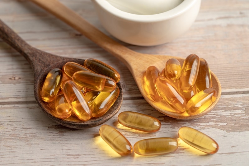 7 Benefits of Fish Oil for Dogs (Based on Science)