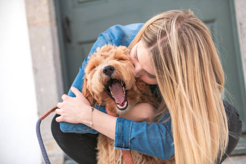 Why Does My Dog Smell Like Metal? 7 Vet Reviewed Reasons