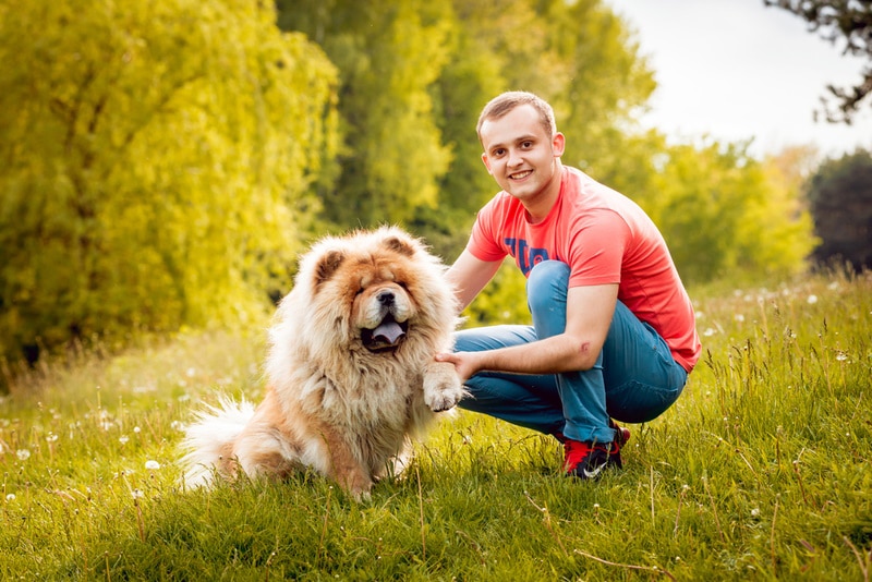 10 Vet-Verified Benefits of Having a Dog: Science-Based Facts