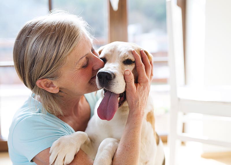 20 Best Dog Breeds for Seniors & the Elderly (With Info & Pictures)