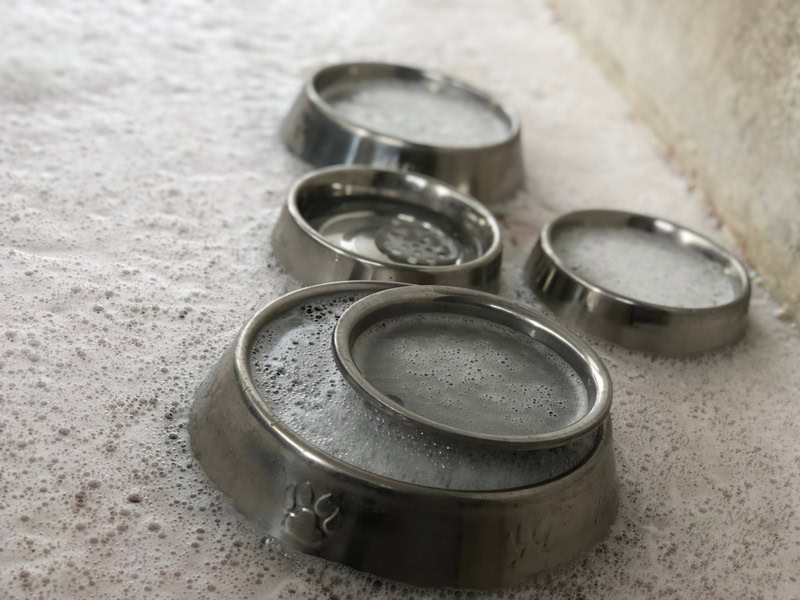 How Often Should I Wash My Dog's Food & Water Bowls? Vet-Approved Guide