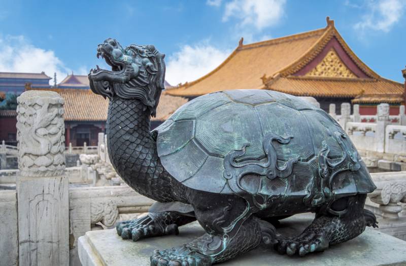 The Significance of Turtles in Chinese Culture: History & Feng Shui