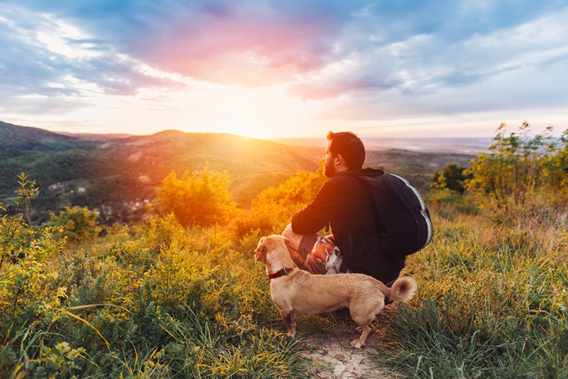 Dog owner hiking trailing