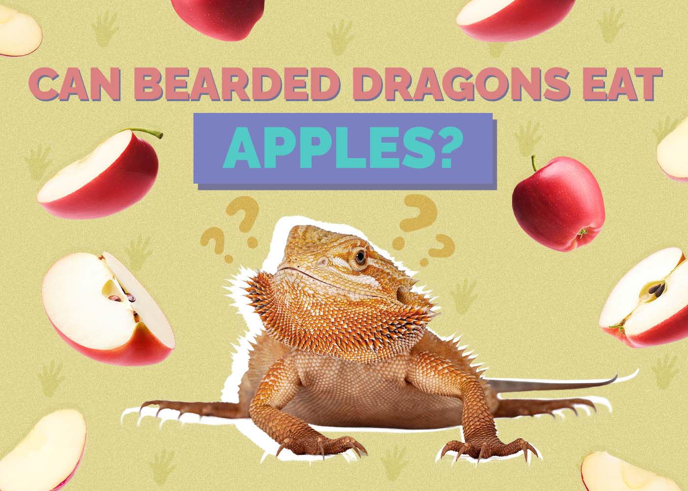 Can Bearded Dragons Eat Apples? Vet Reviewed Facts & FAQ