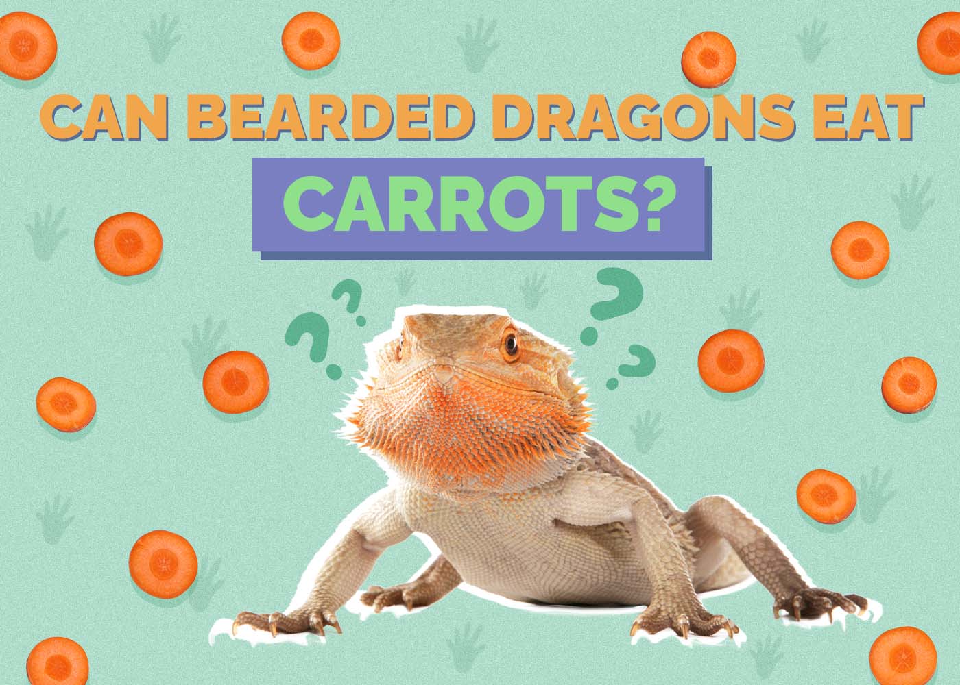 Can Bearded Dragons Eat Carrots? Vet-Reviewed Nutritional Facts & FAQ