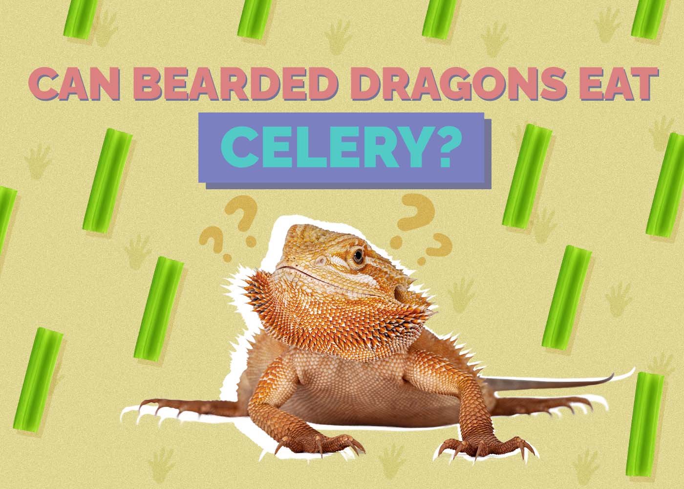 Can Bearded Dragons Eat Celery? Vet-Approved Nutritional Facts
