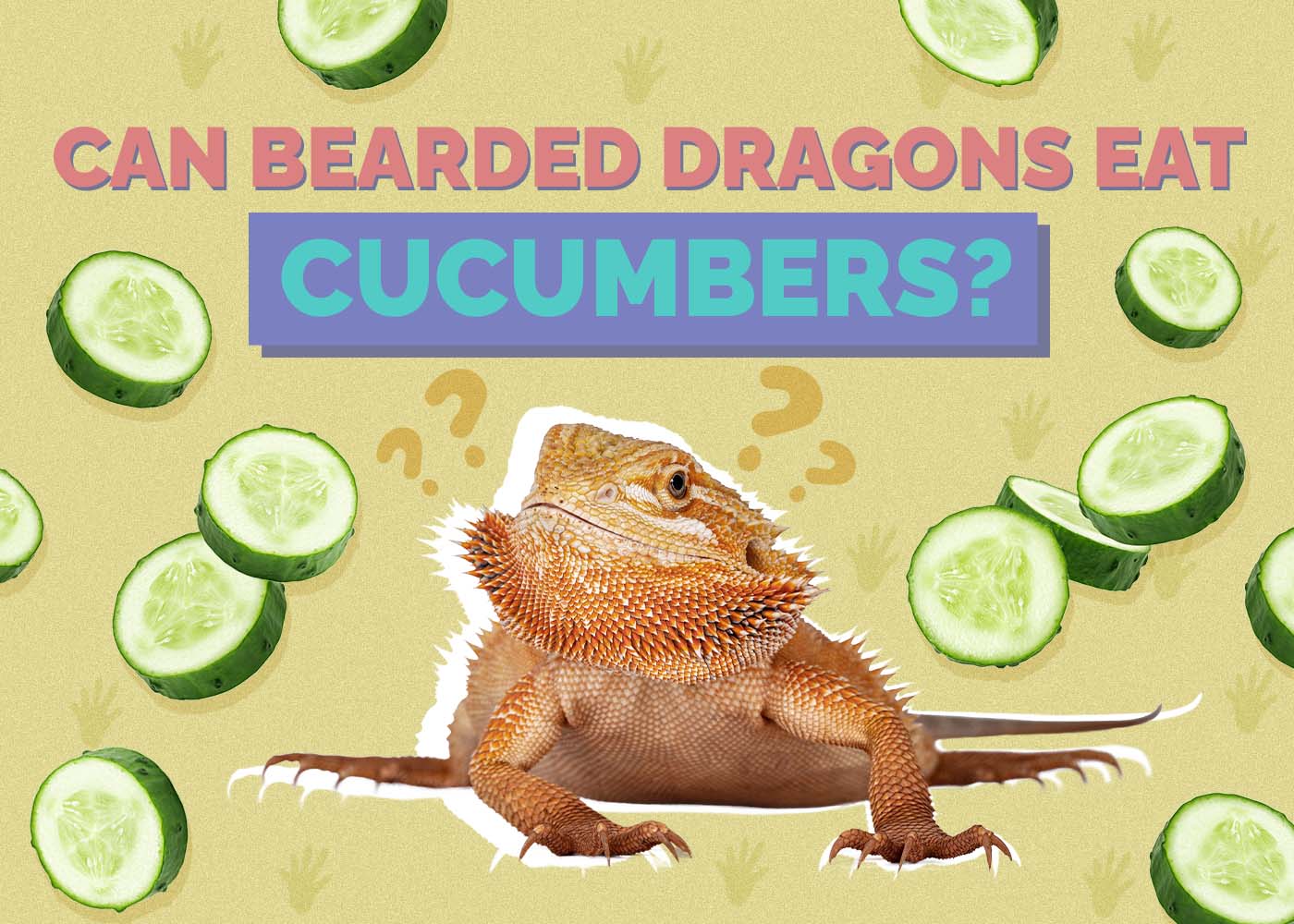 Can Bearded Dragons Eat Cucumbers? Vet-Verified Benefits & Dangers