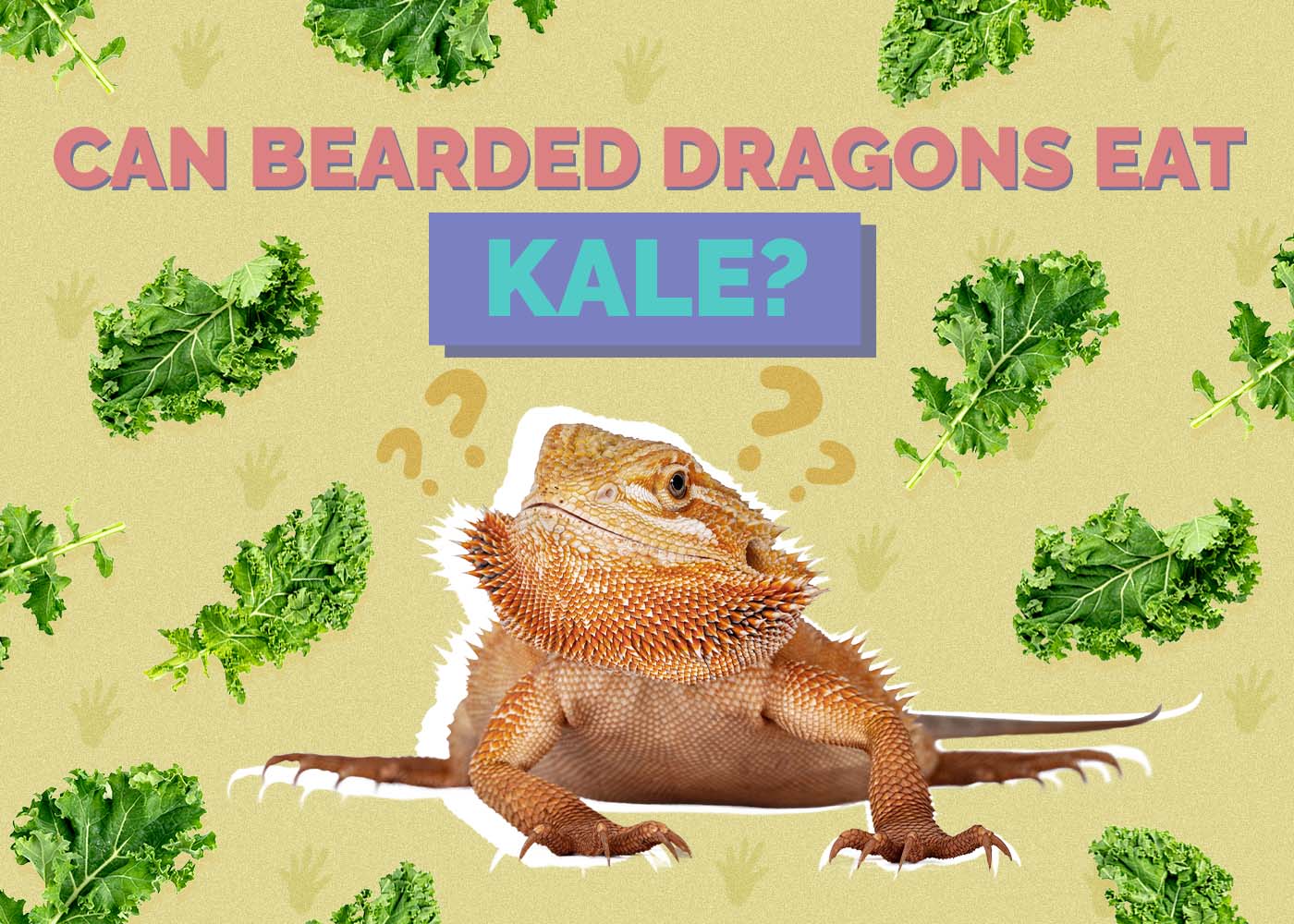Can Bearded Dragons Eat Kale? Vet-Reviewed Facts & Tips