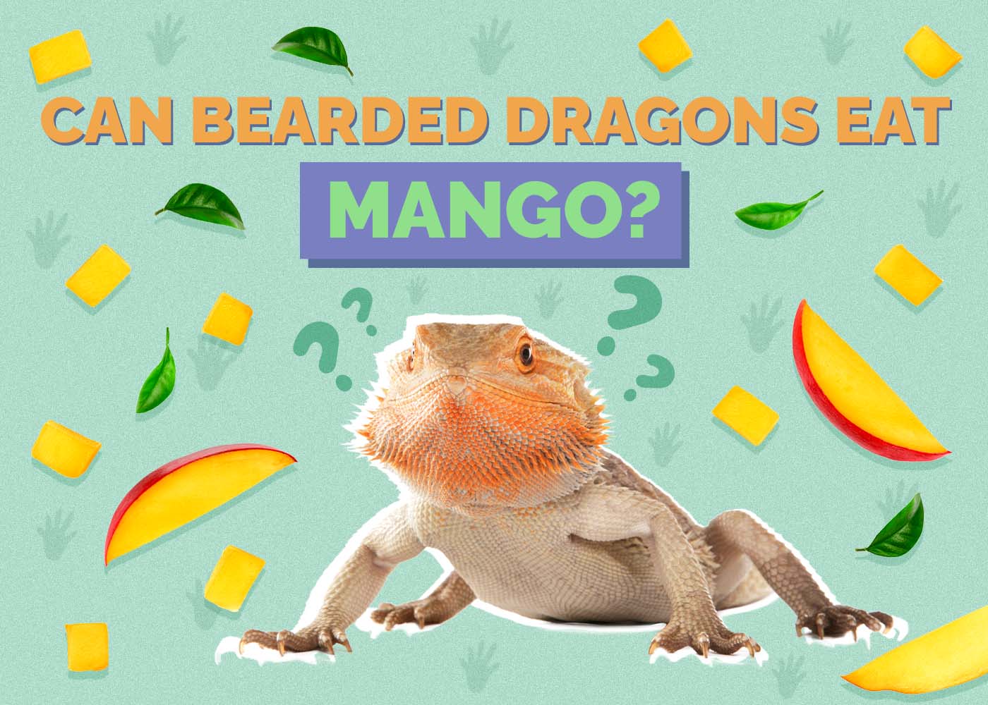 Can Bearded Dragons Eat Mango? Vet-Approved Feeding Facts