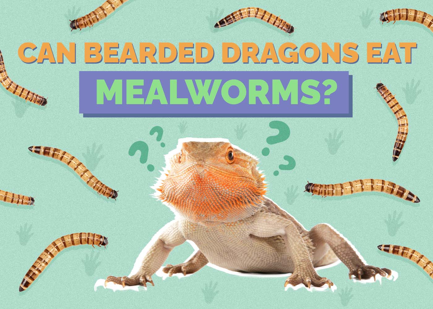 Can Bearded Dragon Eat Mealworms? Vet-Reviewed Nutrition Facts & FAQ
