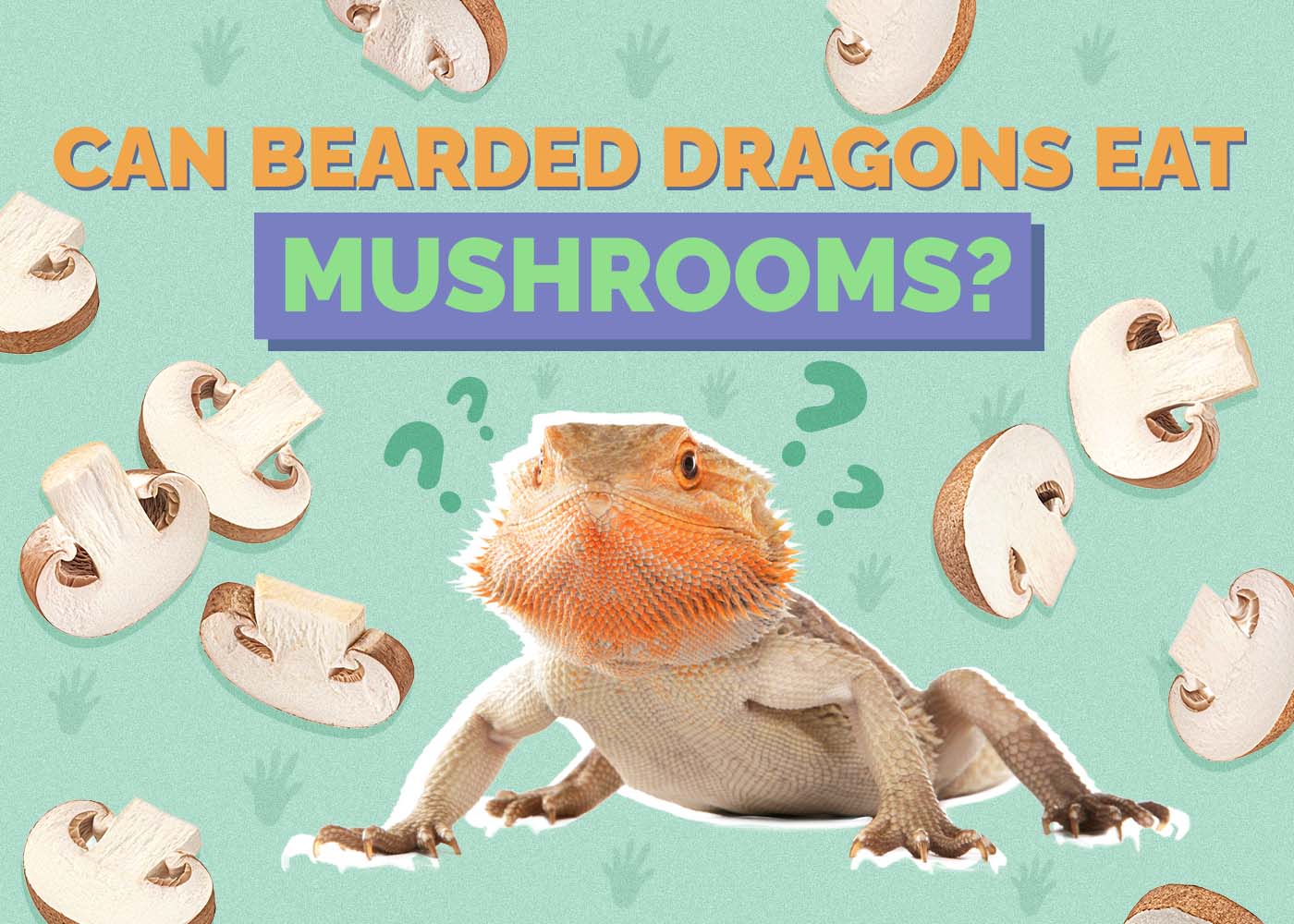 Can Bearded Dragons Eat Mushrooms? Vet-Approved Facts & FAQ