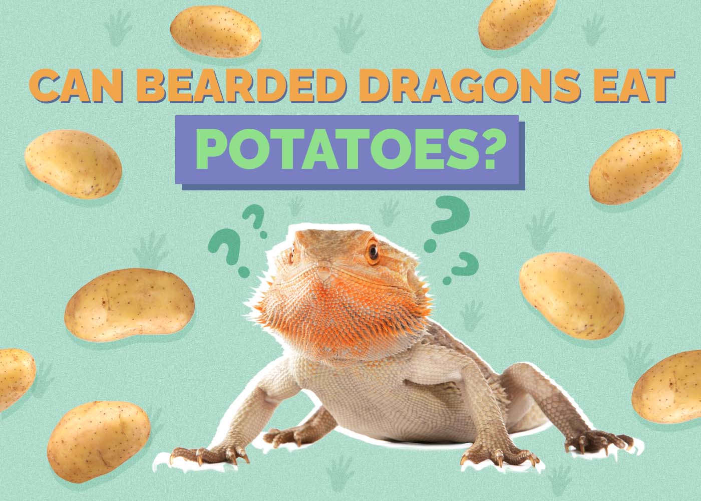 Can Bearded Dragons Eat Potatoes? Vet-Reviewed Facts & FAQ