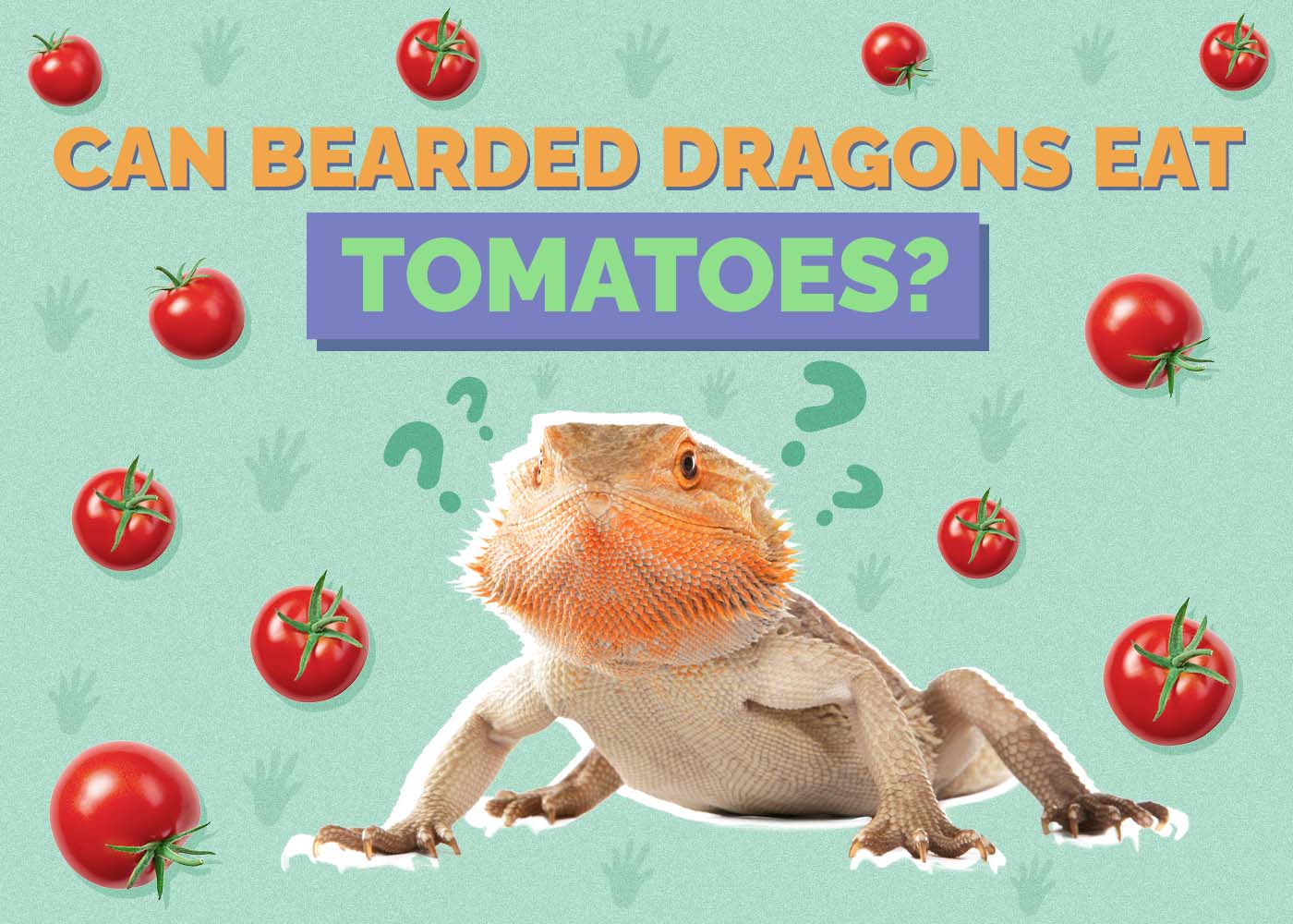 Can Bearded Dragons Eat Tomatoes? Vet-Approved Facts & FAQ