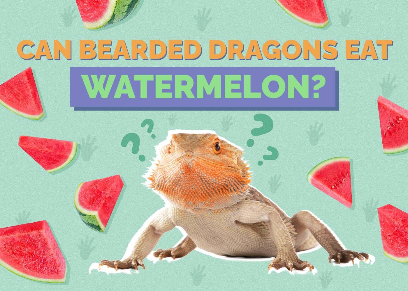 Can Bearded Dragons Eat Watermelon? Vet-Approved Facts & FAQ