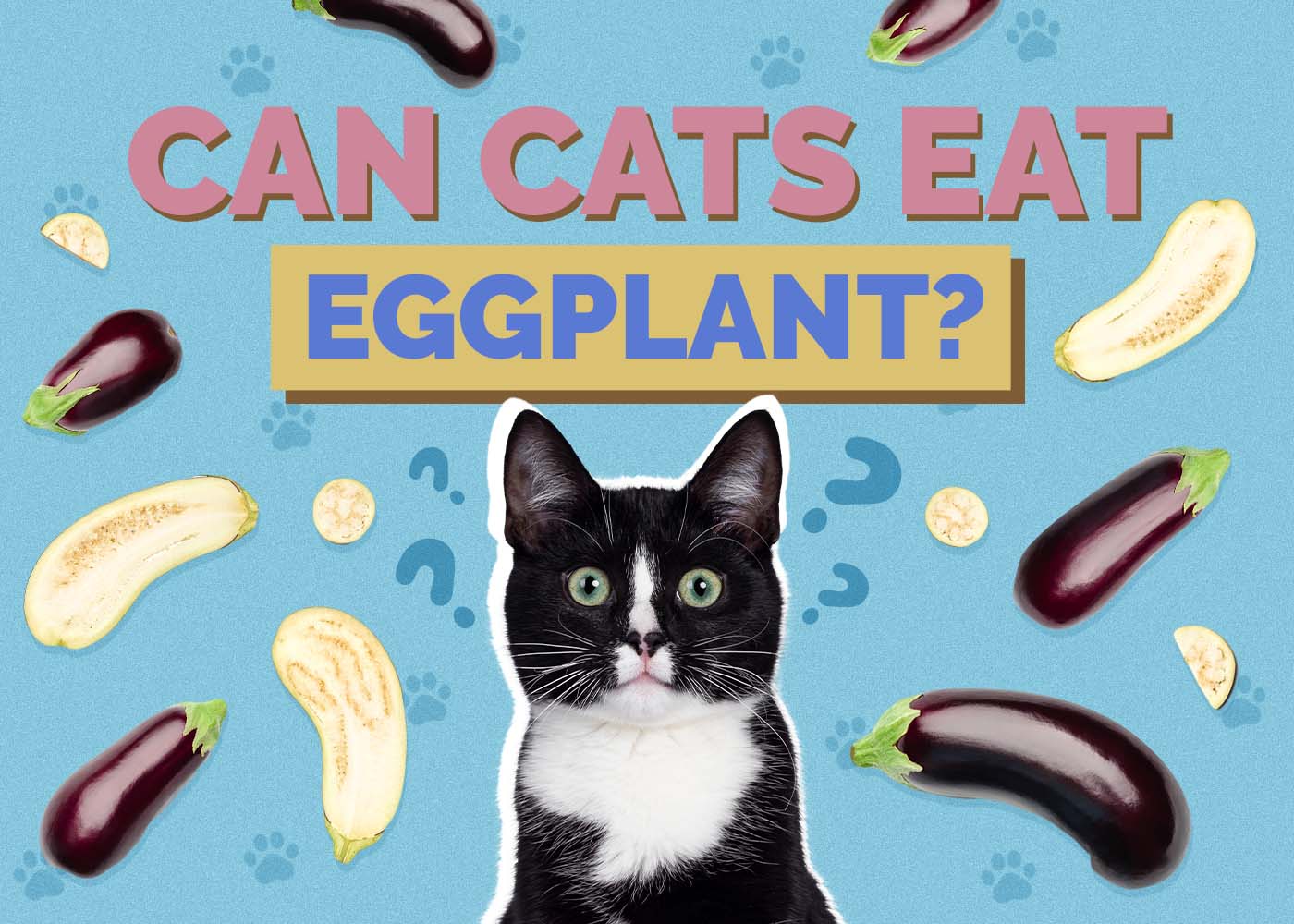 Can Cats Eat Eggplant? Vet-Reviewed Nutritional Facts & FAQ
