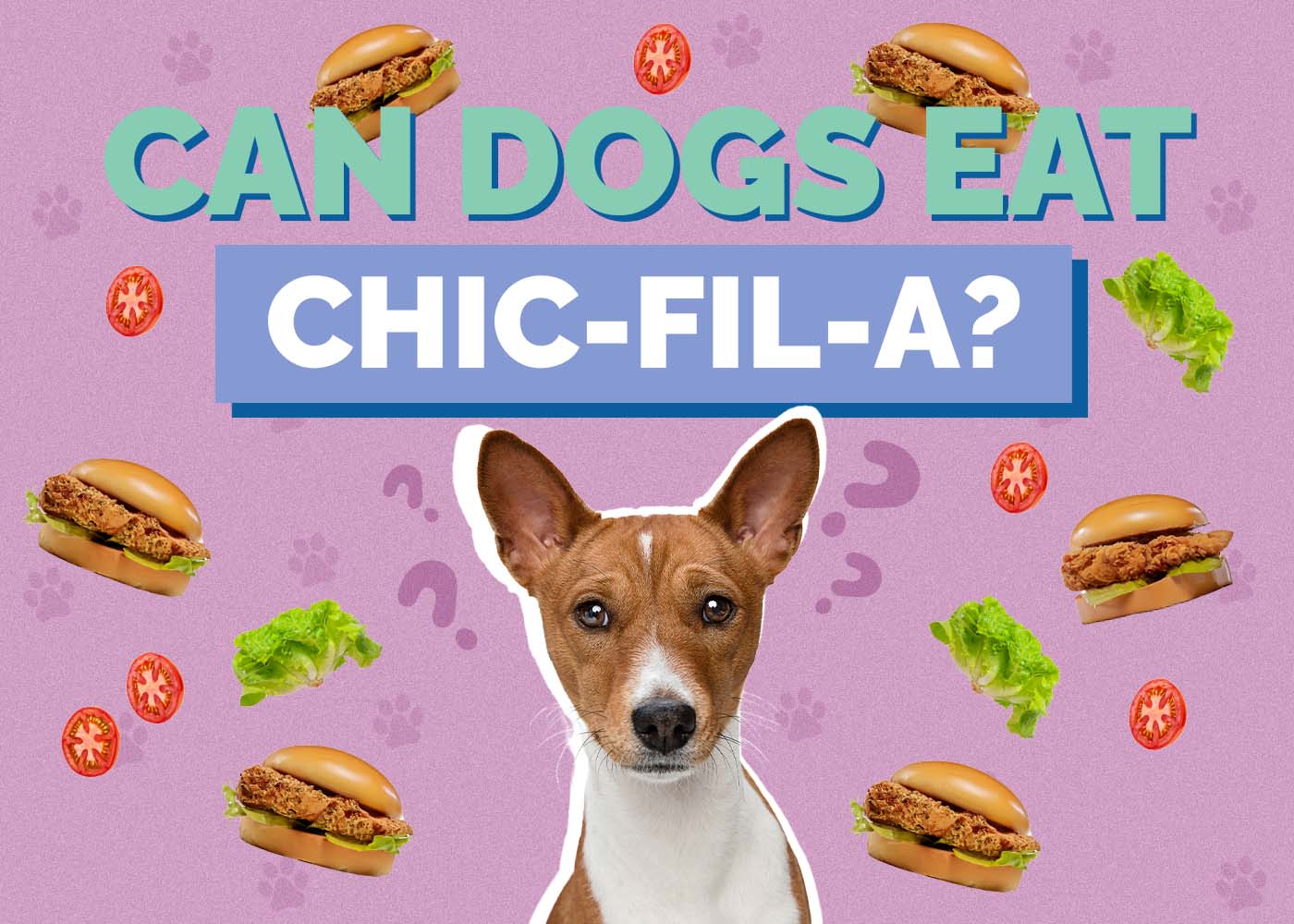 Can Dogs Eat Chick-fil-A? Vet Approved Health Review