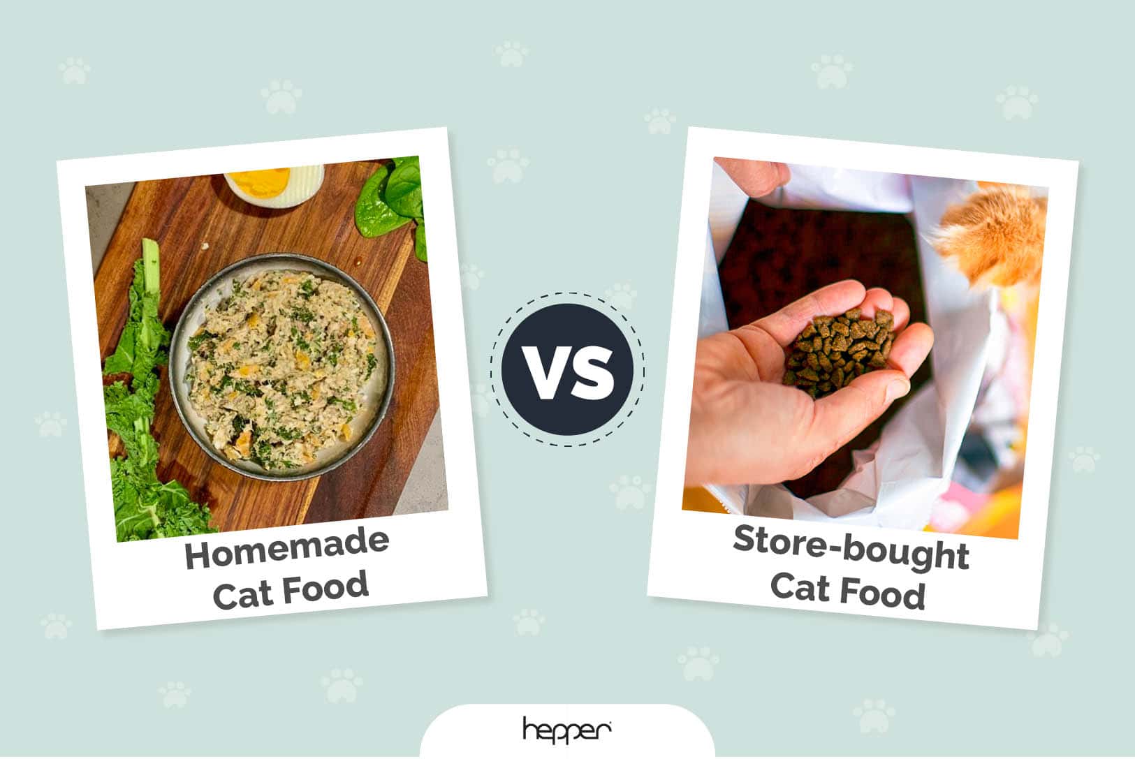 Homemade vs Store-Bought Cat Food: Vet-Reviewed Pros, Cons & Verdict