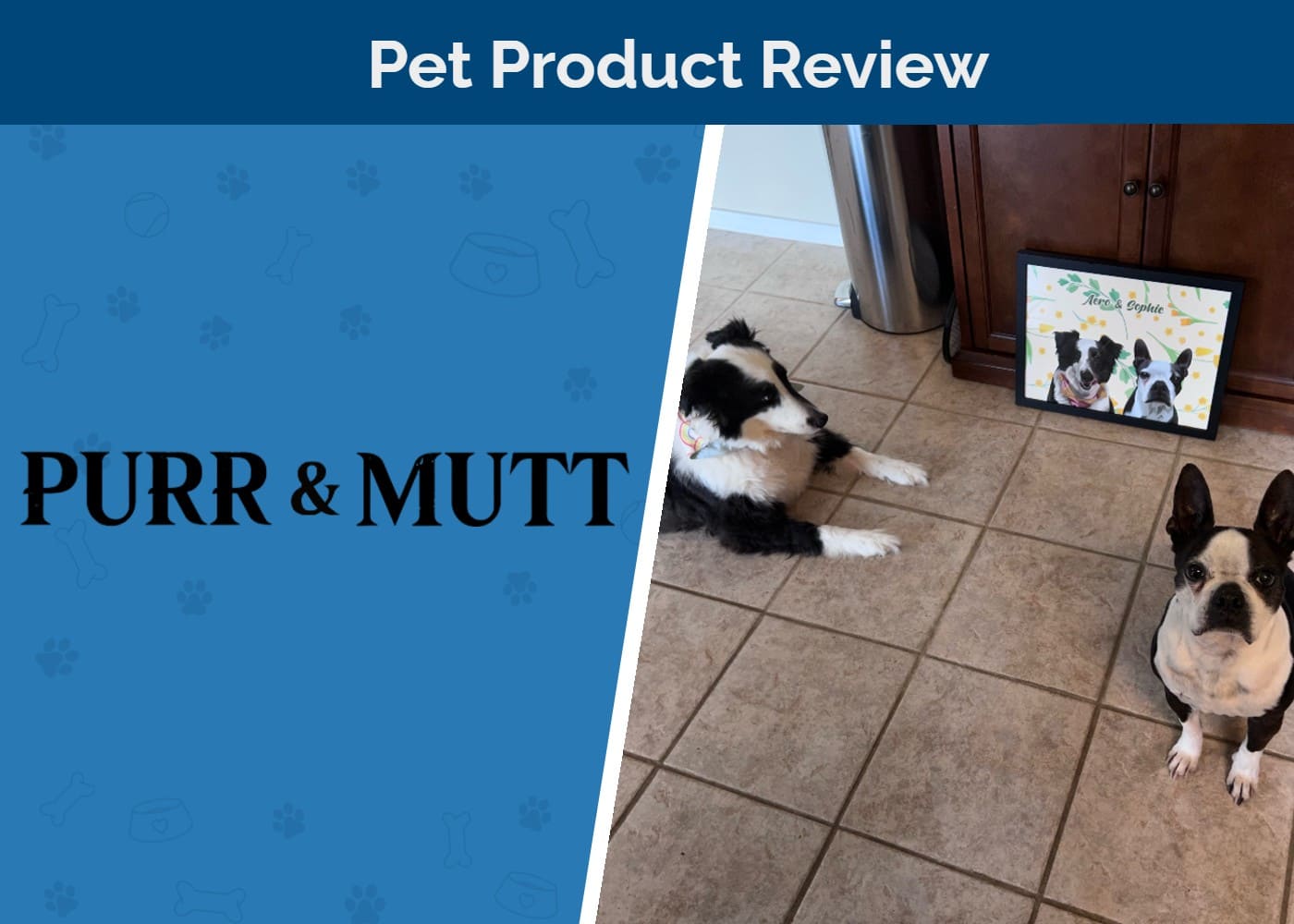 Purr & Mutt Personalized Pet Portraits Review 2026: Our Expert’s Opinion