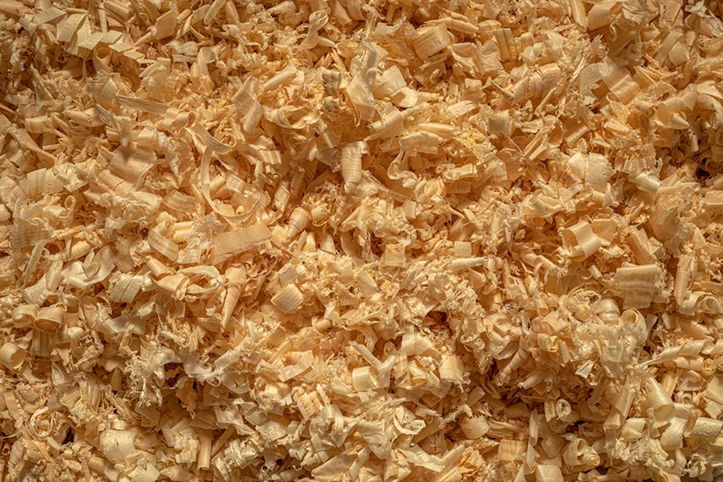Texture created by fir and pine wood chips in a carpentry with soft lighting