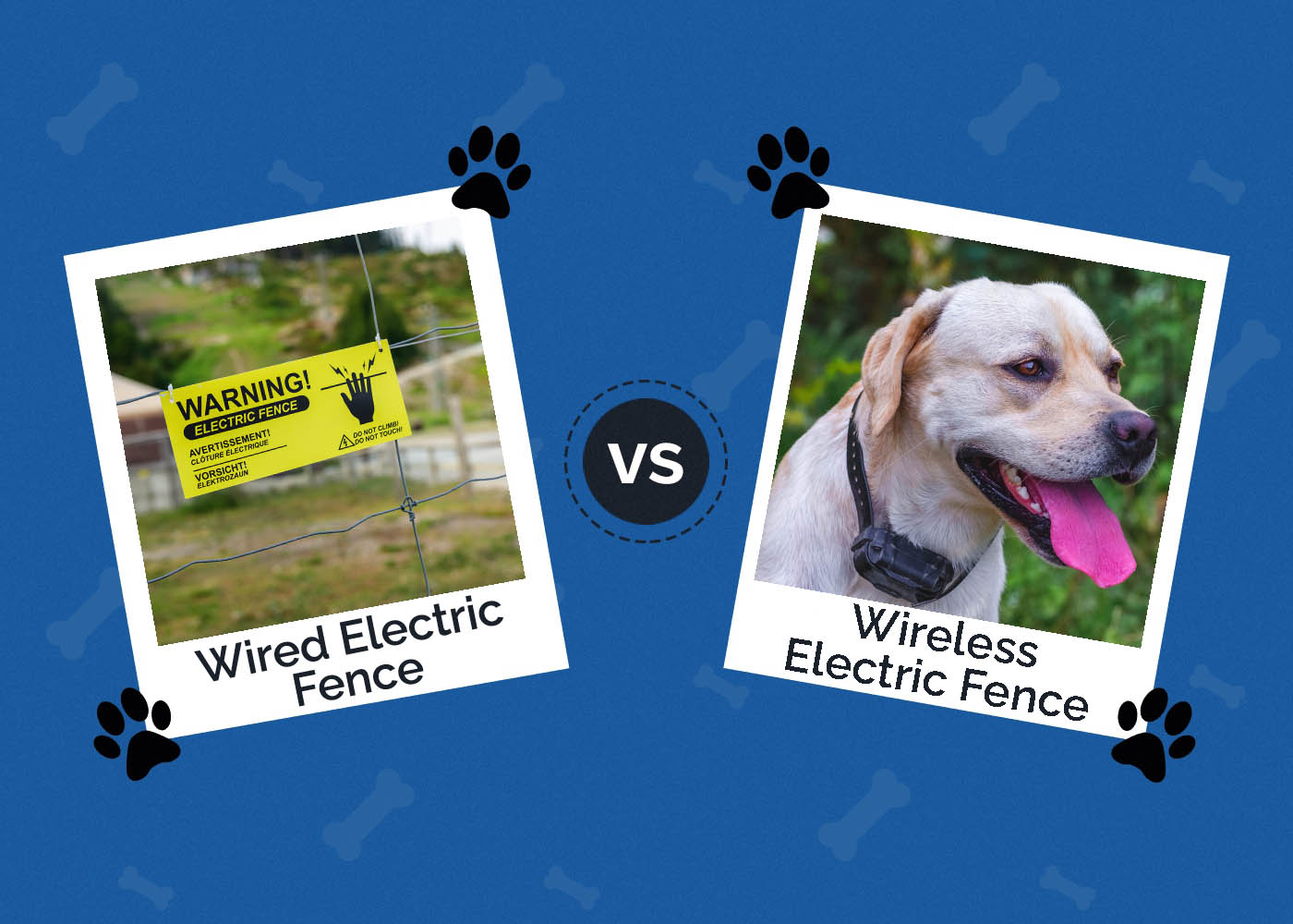 Wired vs Wireless Electric Dog Fence: Differences Explained
